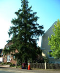 Vorbereitung